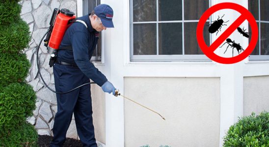 Kumlu Karınca İlaçlama böcek ilaçlama ve haşere kontrolü — ilaclama-tr.com
